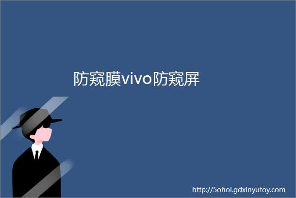 防窥膜vivo防窥屏