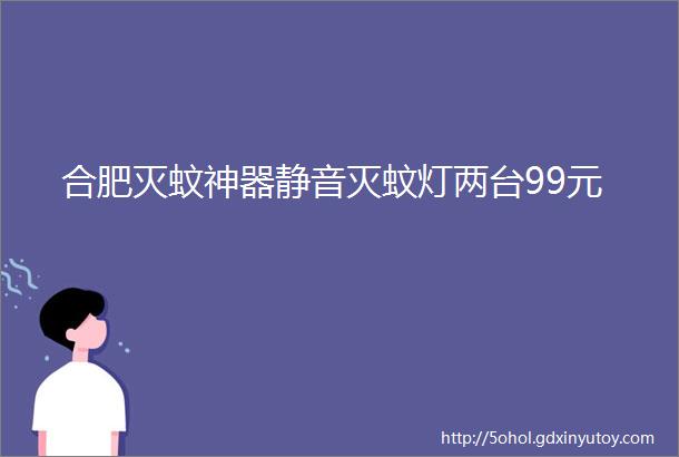 合肥灭蚊神器静音灭蚊灯两台99元