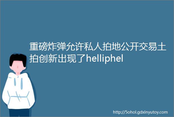 重磅炸弹允许私人拍地公开交易土拍创新出现了helliphellip