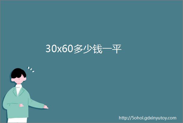 30x60多少钱一平